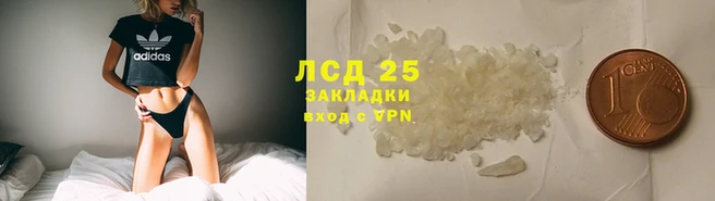 гидра Алексеевка