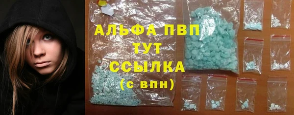 гидра Алексеевка