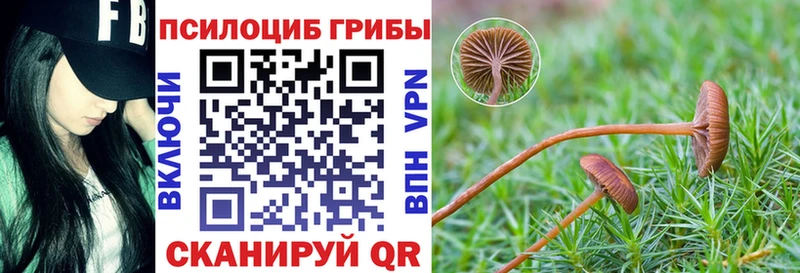 ссылка на мегу ссылка Жуков Галлюциногенные грибы Cubensis