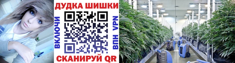 даркнет сайт  Жуков  Конопля Ganja 
